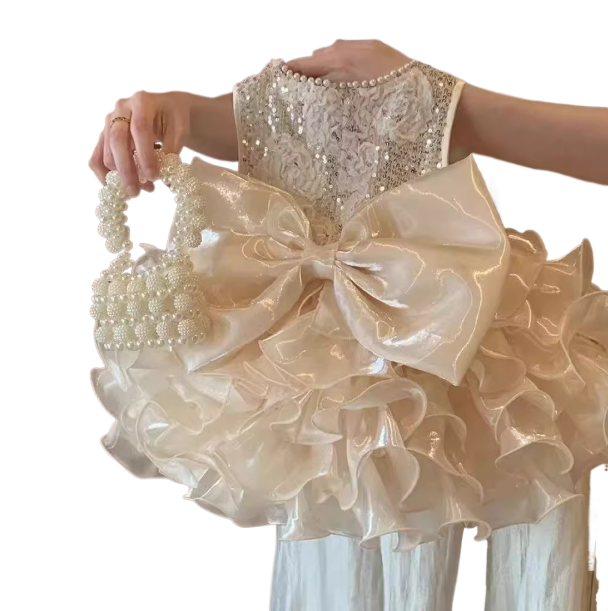 Champagne rose lace princess dress for pets in Champagne Rose, showing size and shape