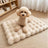 Bubble velvet pet mat with anti-slip base in beige
