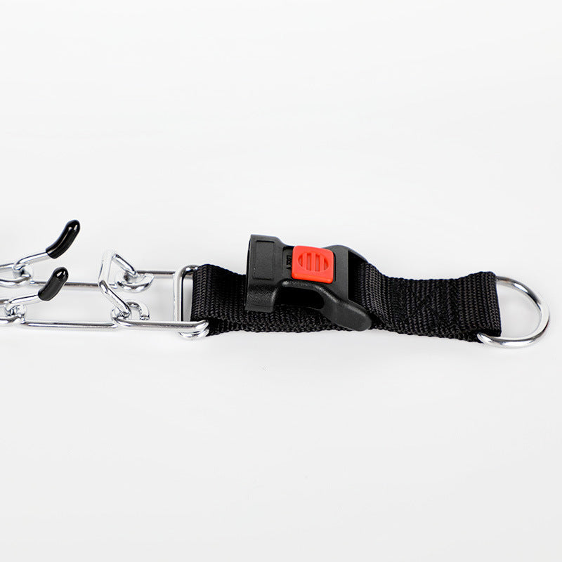 Adjustable Metal Dog Training Collar with Leash