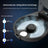 Automatic Pet Food Dispenser with Cooling and Heating