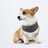 Cool touch cooling scarf for dogs and cats, available in 9 colours, image 6