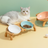 ceramic pet bowl