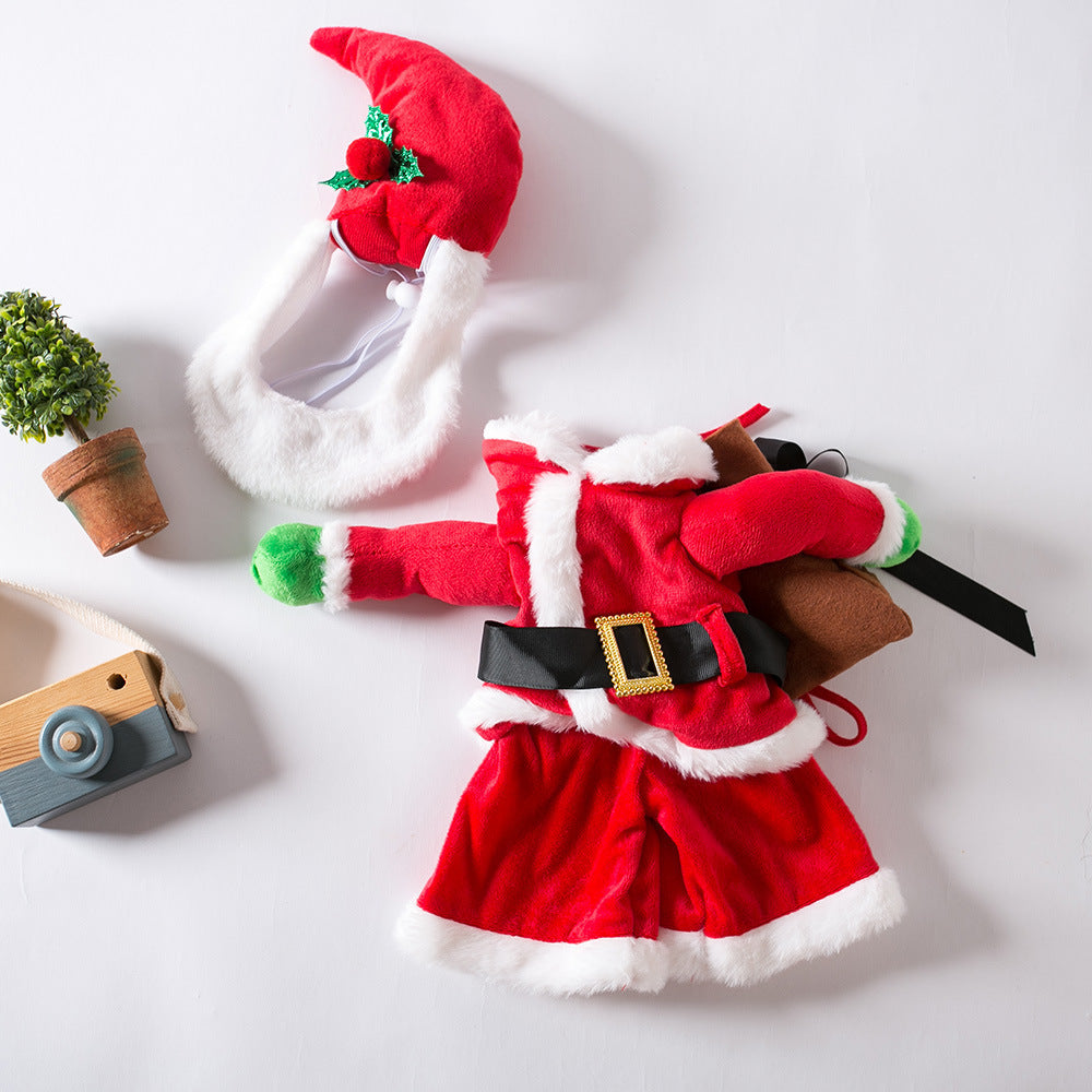 Selection of funny Halloween and Christmas costumes for pets