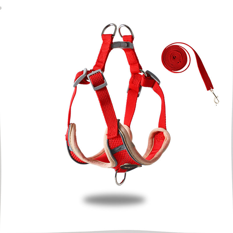 Bear pattern pet harness with matching lead in blue