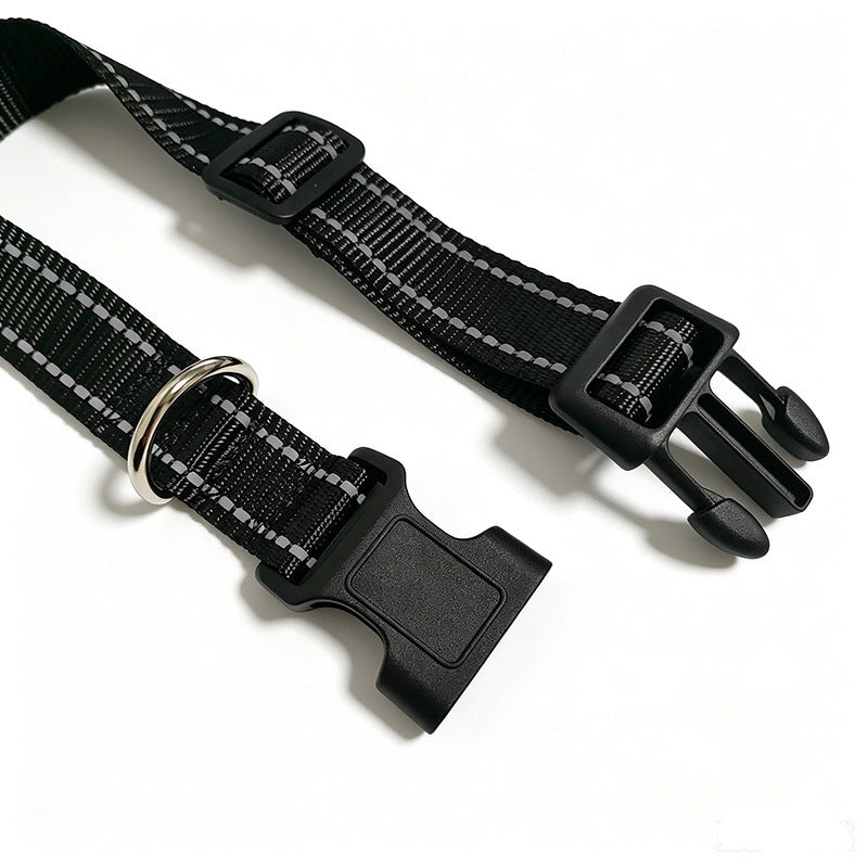 Reflective nylon dog collar, available from Pet Royale UK