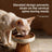 Elevated Ceramic Pet Feeding Bowl with Wooden Stand