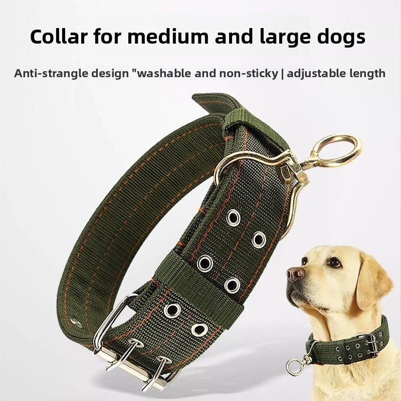 Wide double-layer nylon dog collar in 3 colour options