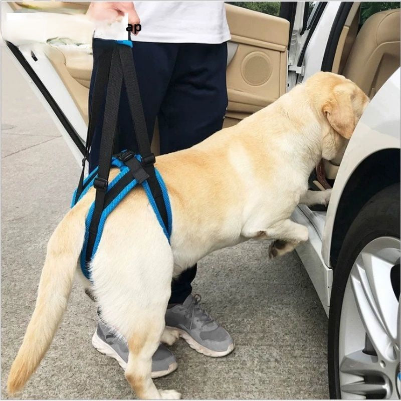 Blue breathable mesh hind leg support harness for senior dogs, product image 3