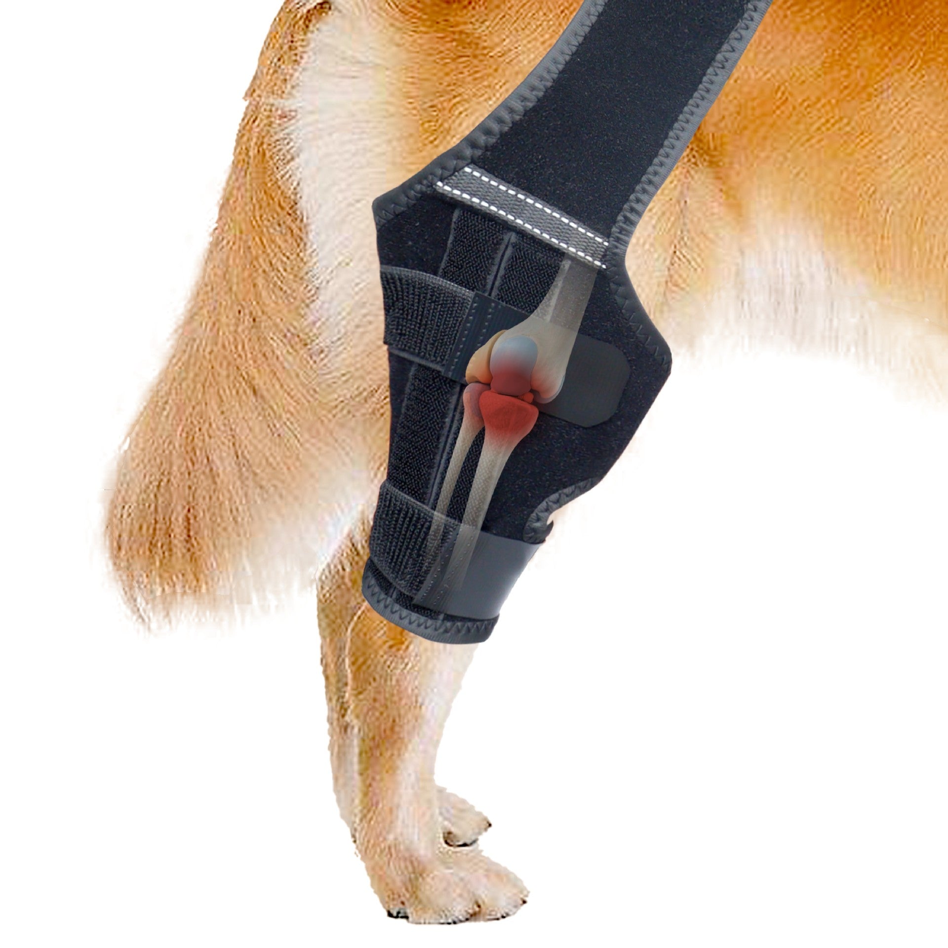 Adjustable Dog Hind Leg Protectors Vest Style