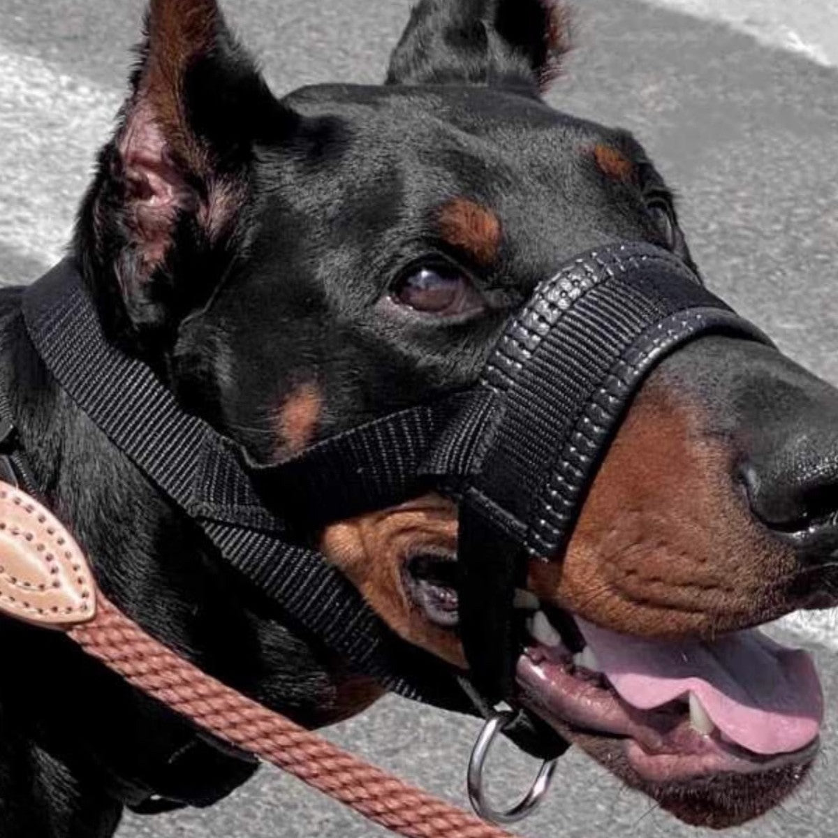 Breathable Mesh Dog Muzzle, Adjustable Anti-Bite Mouth Cover