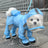 Small dog in a pink full body raincoat with foot covers