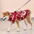 Thick padded windproof dog vest for winter in Red, front view