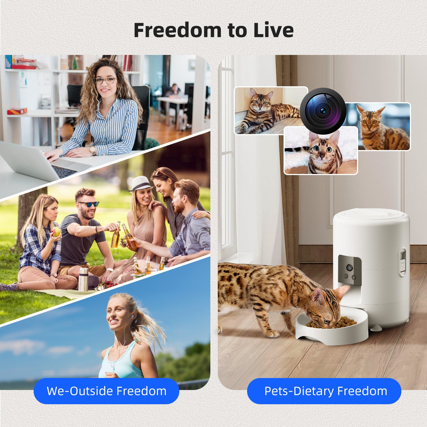 Automatic Pet Food Dispenser with Wi-Fi App Control, 2L Capacity and Optional Camera