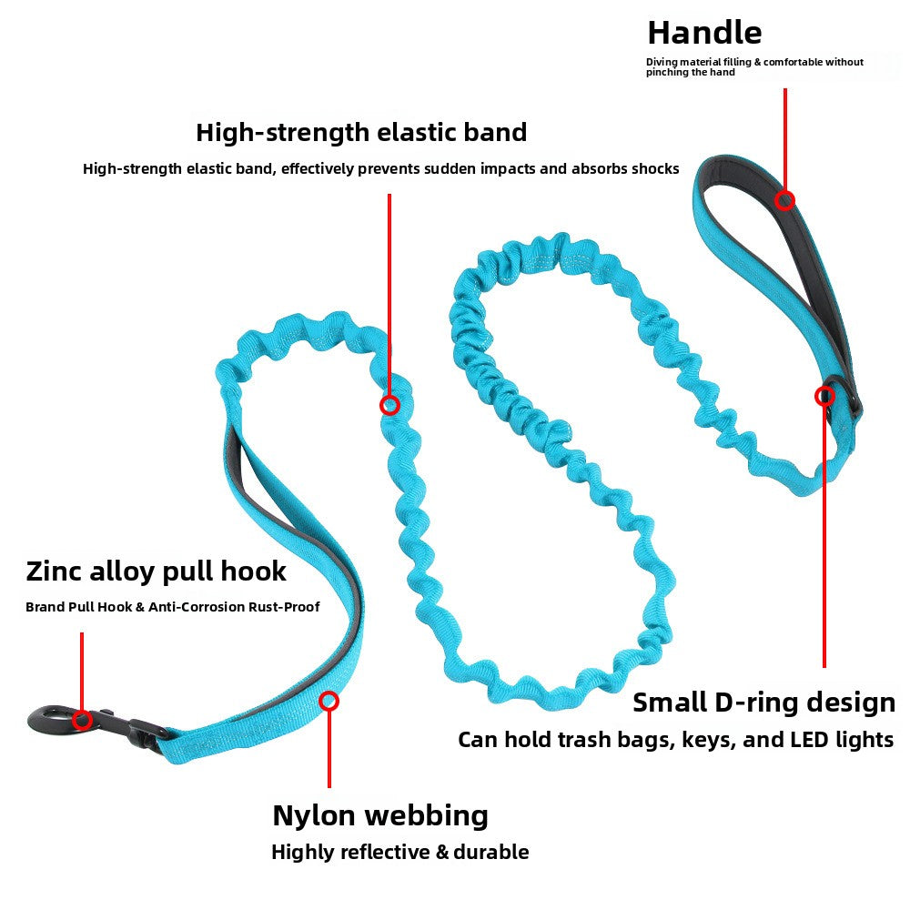 Adjustable nylon slip training lead for dogs, ideal for everyday use