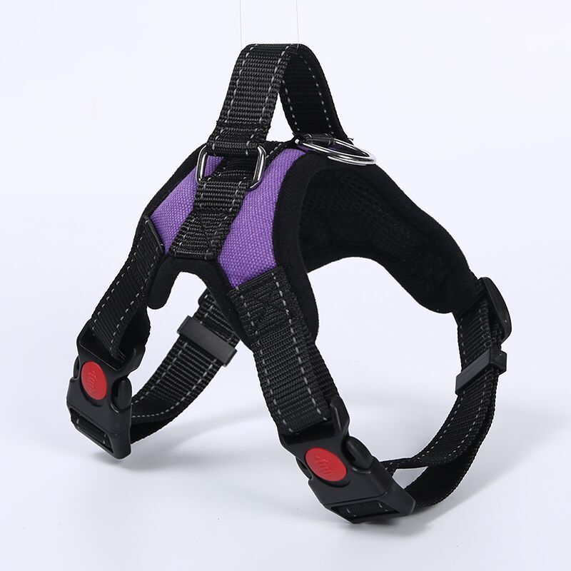 Breathable adjustable dog harness with reflective lead in Breathable Mesh Blue, top view