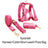 Rose red velvet dog collar and lead, available from Pet Royale UK