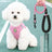 Breathable vest harness for small dogs and cats, ideal for everyday use