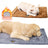 Pet heating pad