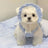 Summer princess dress for small dogs, available in 2 colours, image 4