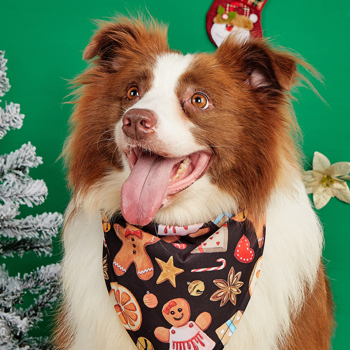 Cartoon print pet bandana for dogs and cats in Design 21, showing size and shape