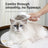 Stainless Steel Dog Comb for Gentle Detangling and Shedding