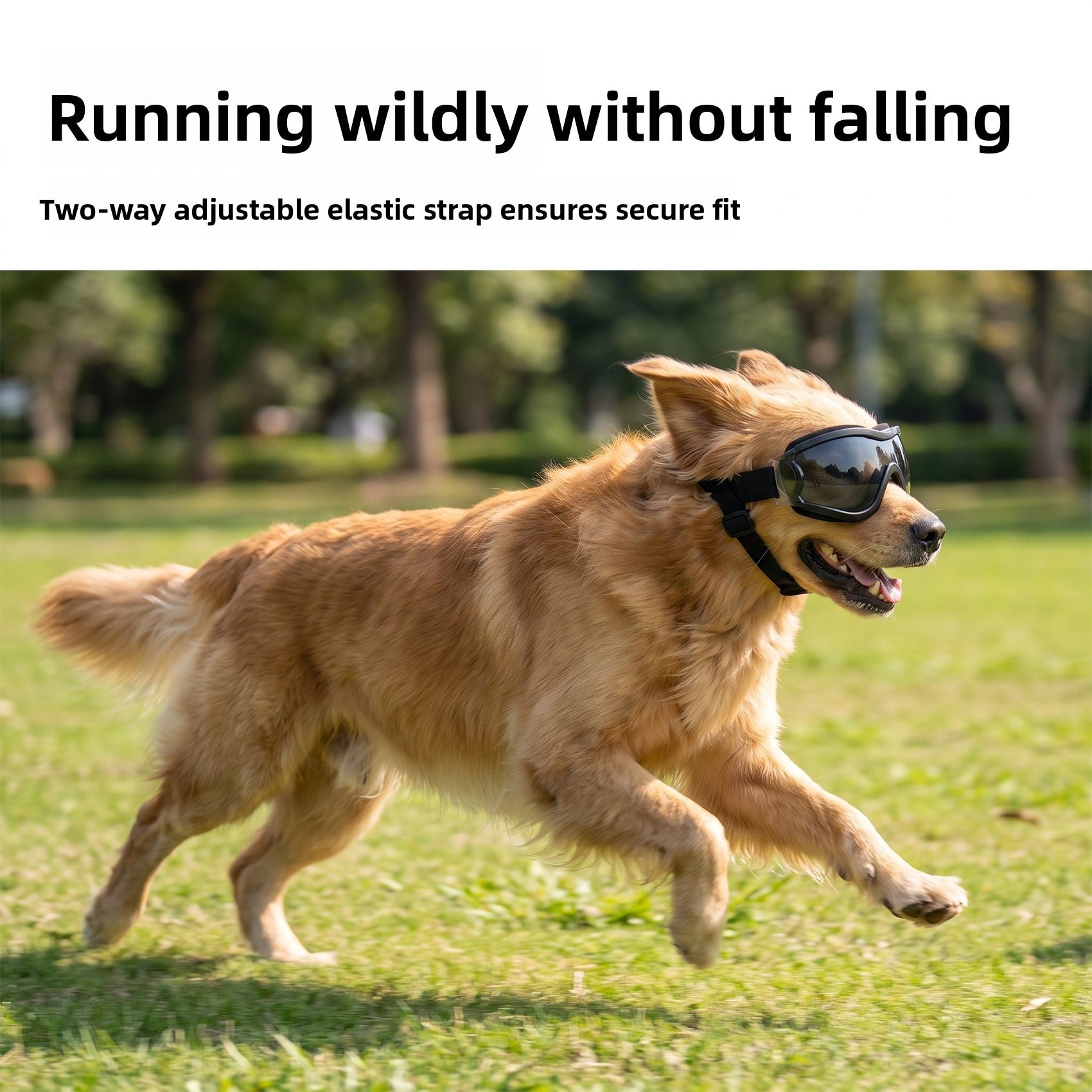 Windproof Dog Goggles for Medium and Large Dogs, Adjustable Straps