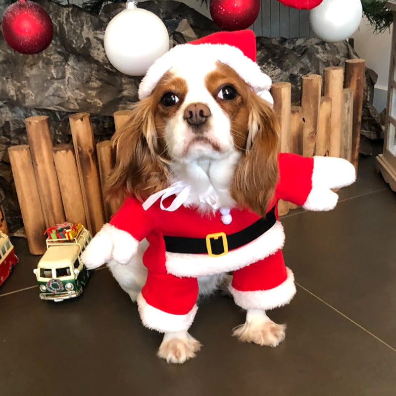 Funny holiday pet costumes in six different styles