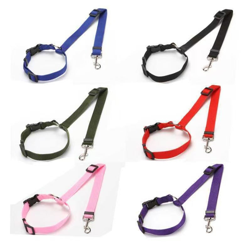 Adjustable nylon pet tether lead, close-up detail view