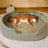 Four-season pet bed with cushion pad for dogs and cats, photo 26
