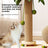 Palm tree cat climbing frame with rotating top and ball toys, photo 3
