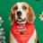 Cartoon print pet bandana for dogs and cats in Design 25, front view