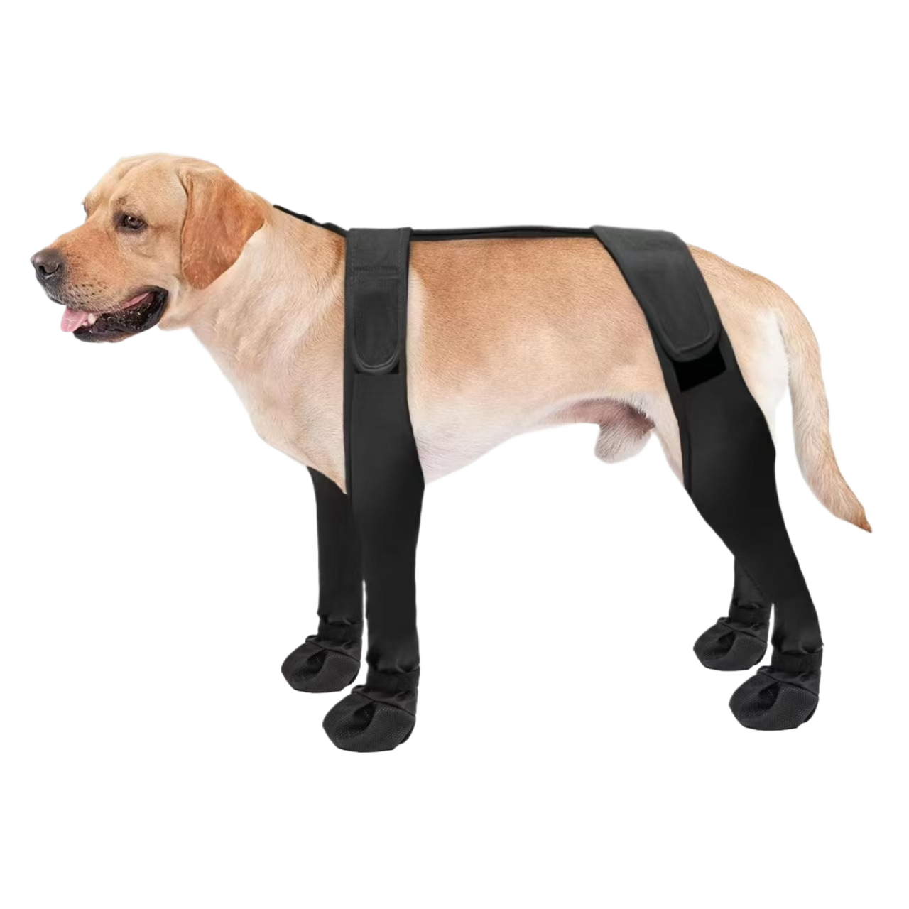 Waterproof anti-slip black dog boots for wet walks in Black, in a home setting