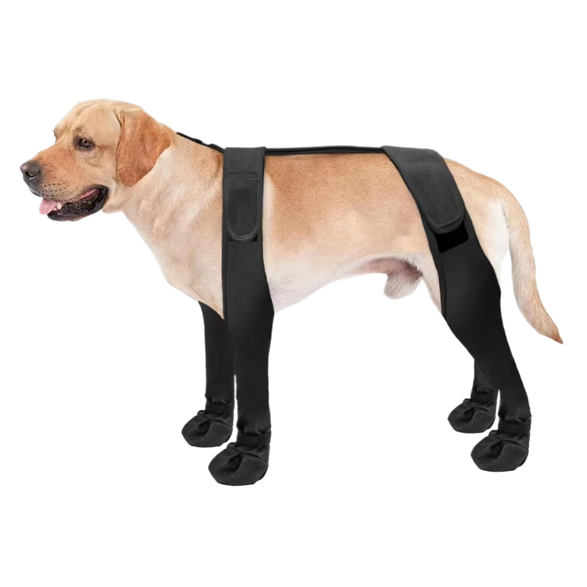 Waterproof anti-slip black dog boots for wet walks in Black, in a home setting