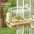Cage-Mounted Bird Bath Basin with Optional Sensor Version