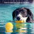 EVA dog training toys pull ring frisbee and ball - photo 4