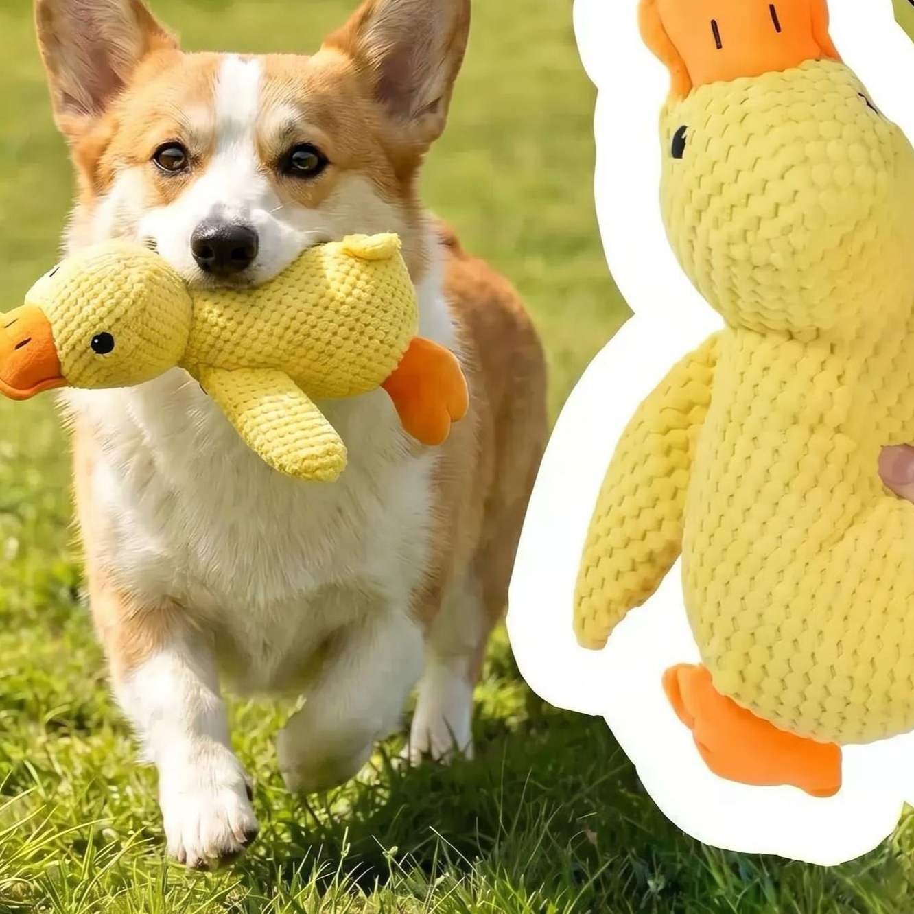 Squeaky plush animal dog toy collection with duck, goose and snake - view 1