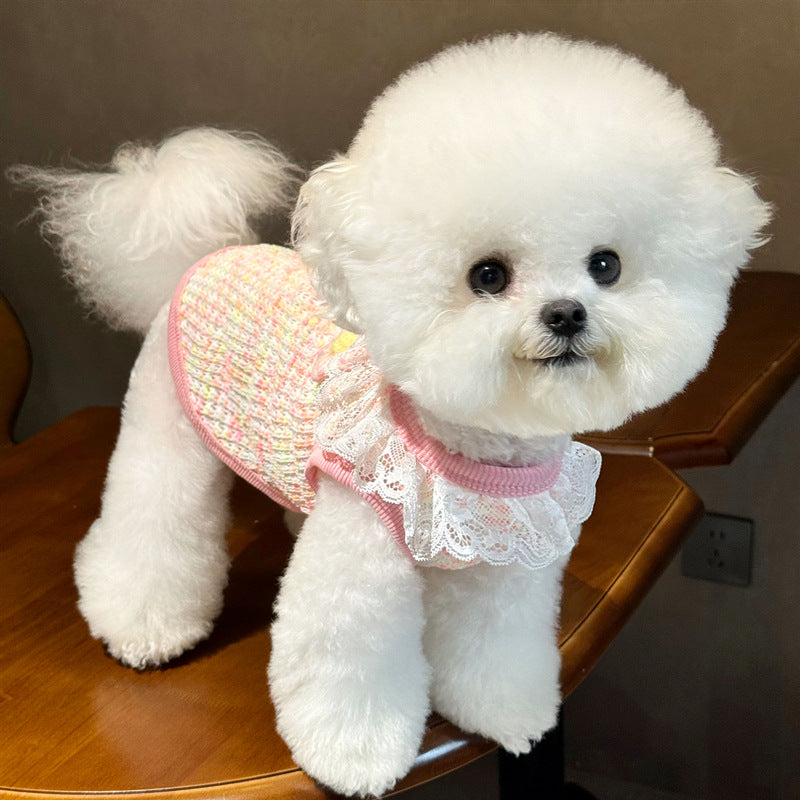 Soft knitted pastel pet vest with built-in lead ring, product image 5