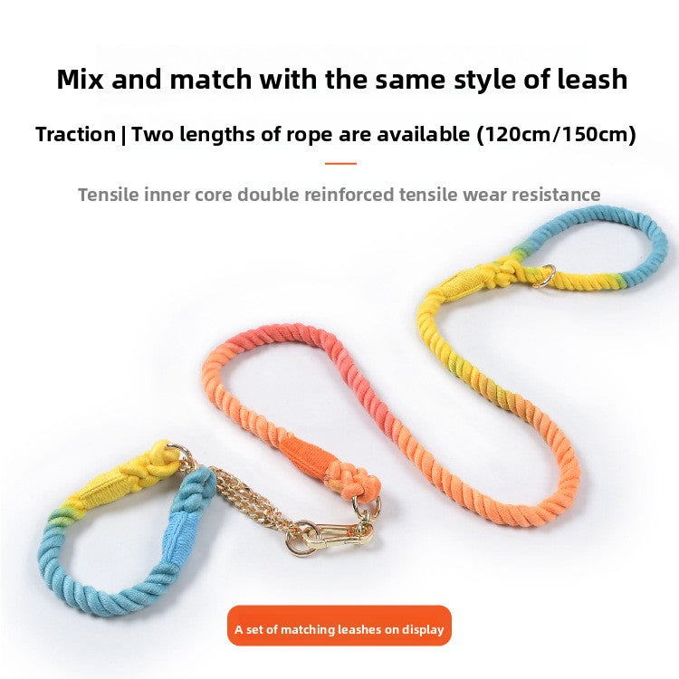 Pastel woven dog collars with gold buckles in many colours