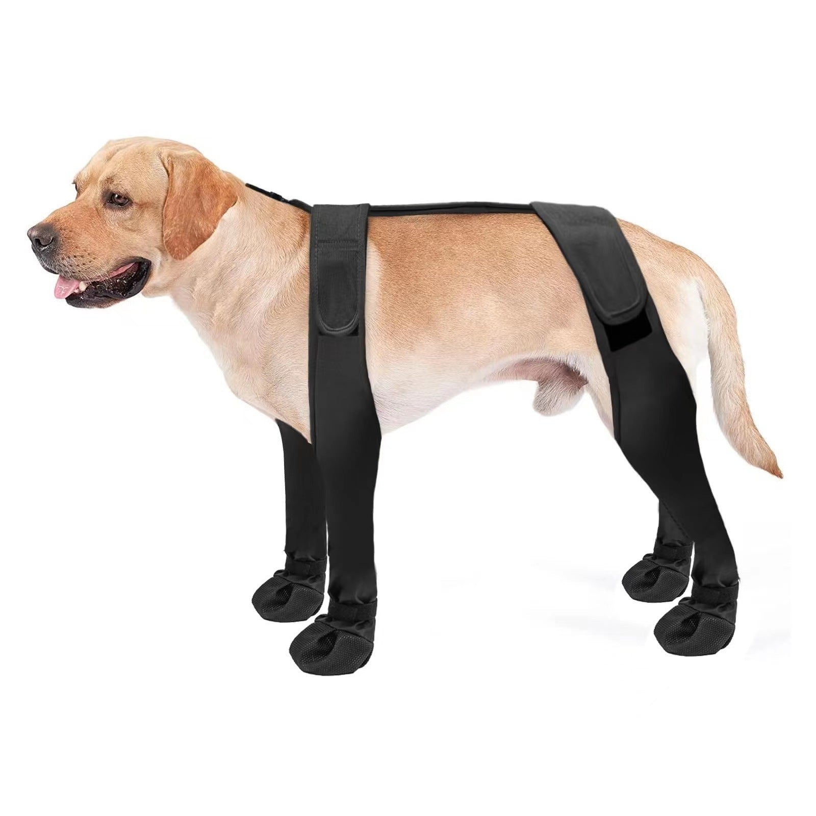 Waterproof anti-slip black dog boots for wet walks in Black, in use with a pet