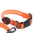 USB rechargeable LED dog collar in PVC, in a home setting