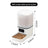 Automatic Pet Feeder