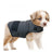 Cotton dog comfort pressure vest, available in 6 colours, image 1