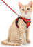 Cat wearing a soft polyester vest harness in the garden