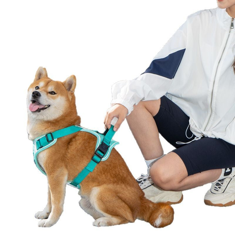 Reflective vest harness for large dogs, available from Pet Royale UK