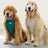 Waterproof belly protector for dogs and cats, product image 2