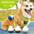 Portable silicone pet water bottle with built-in bowl in Milk Tea Grey 200ml, close-up detail