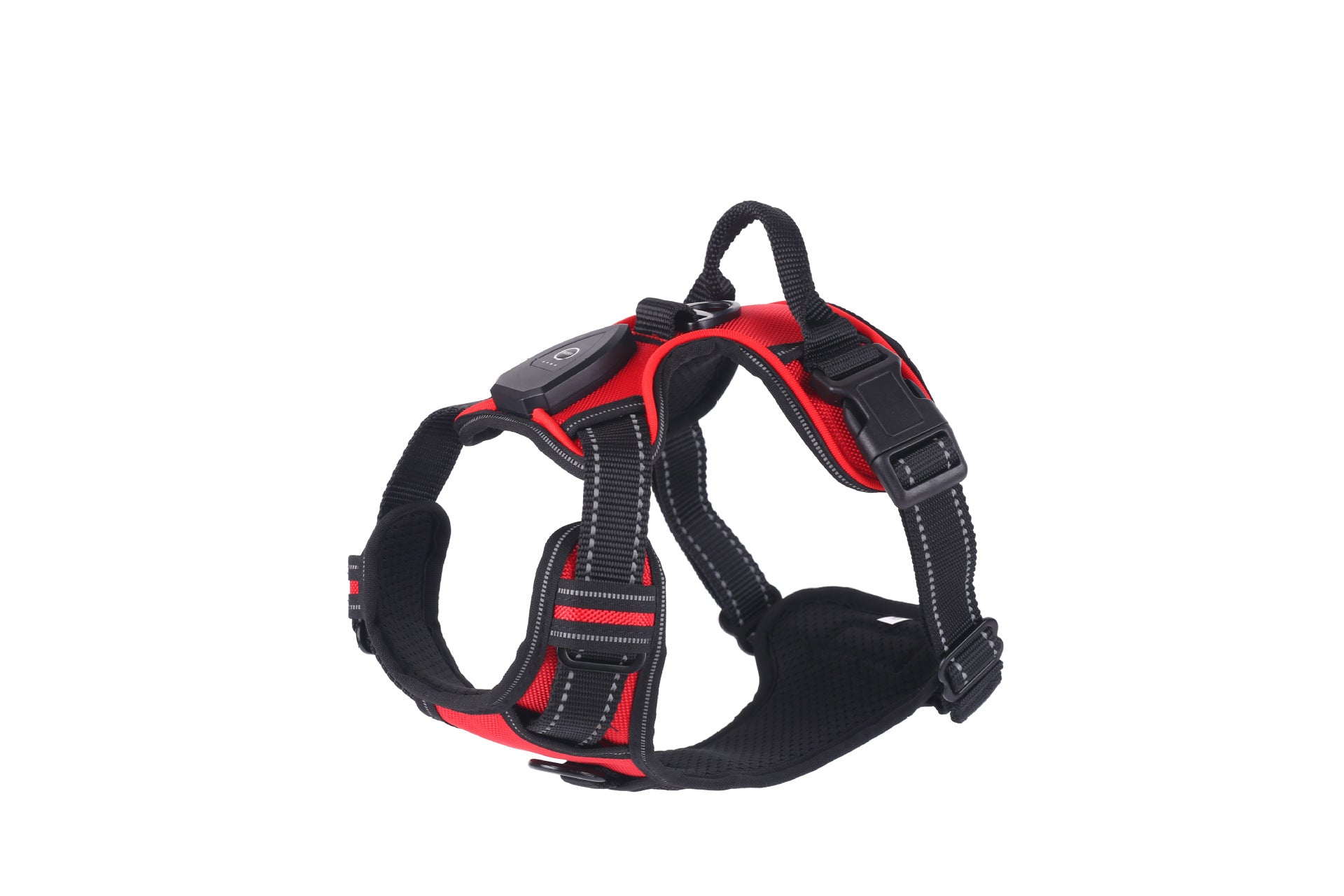 Light up fibre optic dog harness glowing at night, view 4