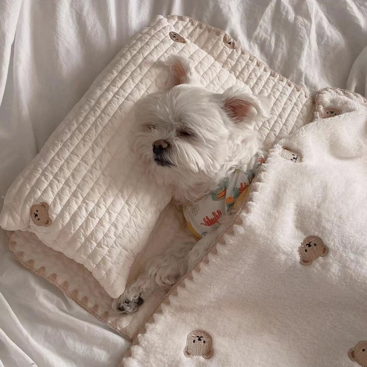 Washable dog bed set with pillow mat and blanket, photo 1 of 7
