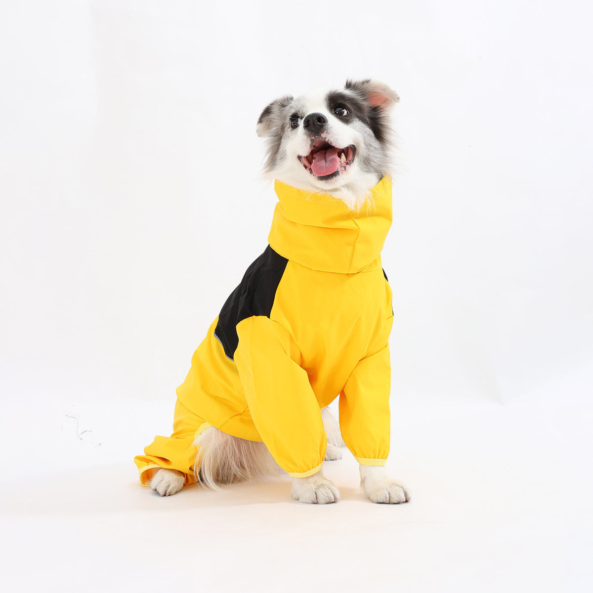 Waterproof windproof raincoat for large dogs, available in 3 colours, image 12