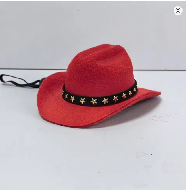 Western felt cowboy hat for small dogs and cats, in use with a pet